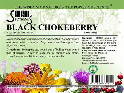 Black Chokeberry Berries (Черноплодная Рябина) – 50 g