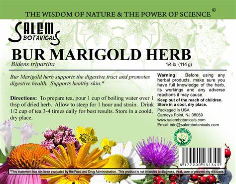 Bur Marigold Herb (Series / Bidens tripartita) – Dried Herbal Cut, 40 g (Череда)