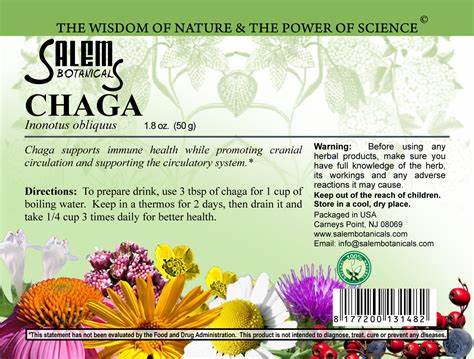 Chaga Mushroom (Inonotus obliquus / Чага гриб) – Dried Herbal Raw Material, 50 g