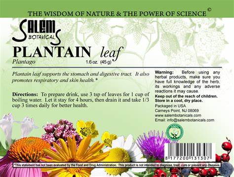 Plantain Leaf (Подорожник Лист) – Herbal Tea, 40 g