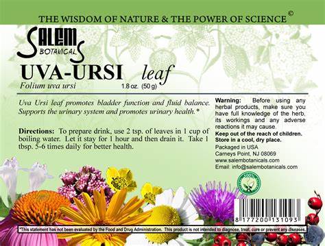 Uva-Ursi Leaf (Arctostaphylos uva-ursi) – Dried Herbal Leaf
 (Медвежьи Ушки /Толокнянка) 50 gm